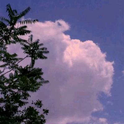 王者乾坤九游版下载