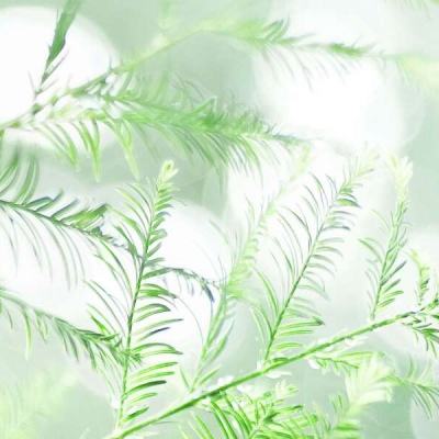 幻想义妖传变态版下载
